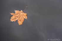 20130113-Divers-0001-2.jpg