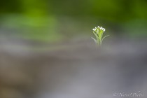 20140511--0479.jpg
