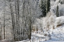 20100102-Paysage-0067.jpg