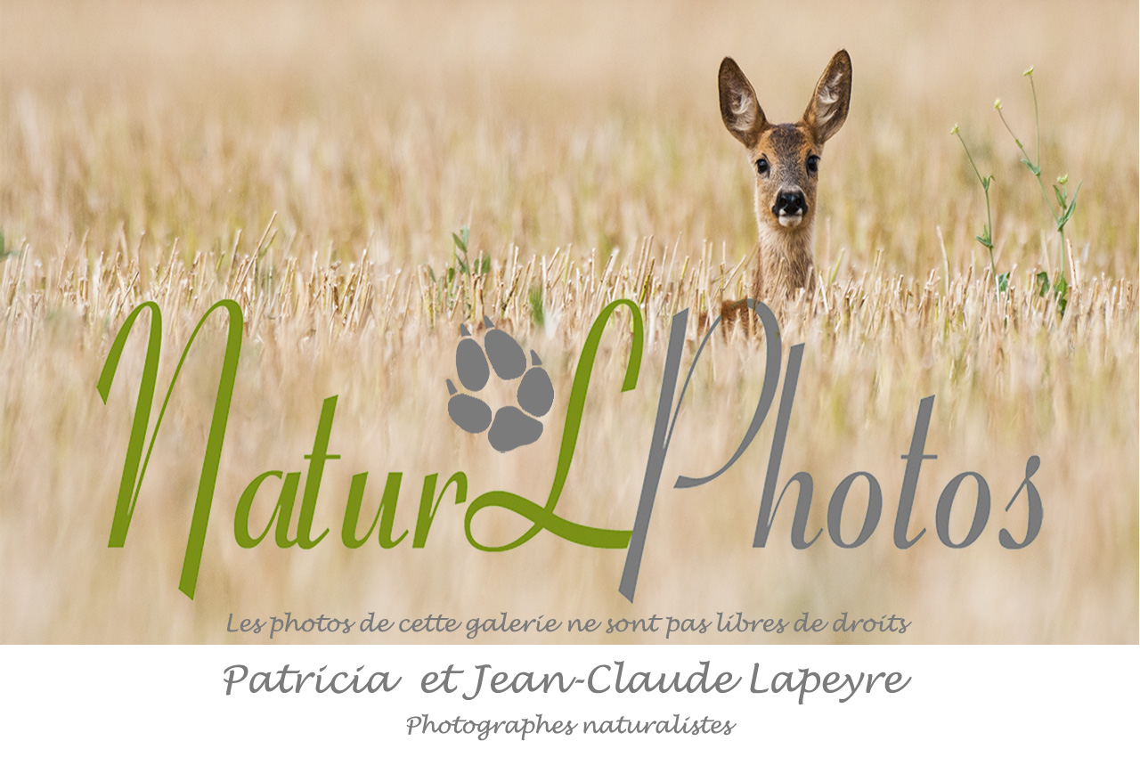nature/images/accueil.jpg